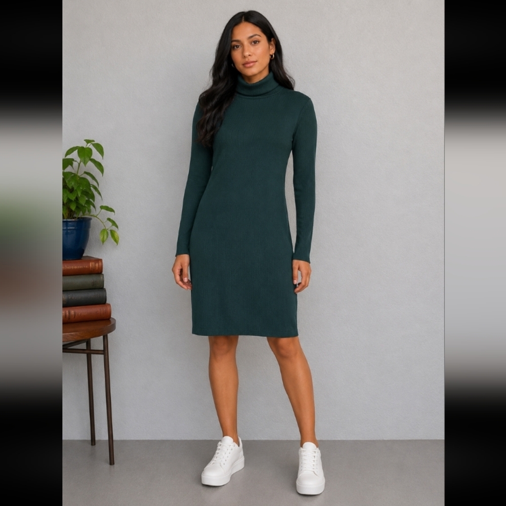 WILD FABLE Ribbed Turtleneck Long Sleeve Stretchy Form Fitting Dress M
